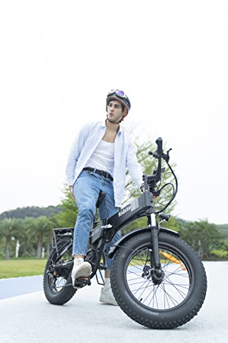 Folding Ebikes for Adults Full Suspension 1000W Motor 48V 14AH Removable Battery